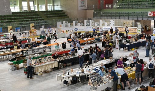 (Foto di repertorio di MineraLuserna)