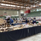 (Foto di repertorio)