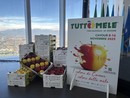 Il tempo di Tuttomele: Cavour si prepara per la 46esima edizione della Fiera Nazionale [VIDEO]