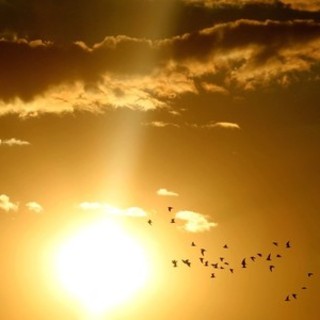 Meteo, un ‘ponte’ al sole: assaggio d'estate nel fine settimana