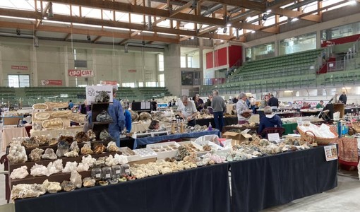 (Foto di repertorio) (Foto di repertorio)