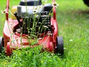 A Frossasco si cercano volontari dalla cura del verde all’aiuto fuori dalle scuole A Frossasco si cercano volontari dalla cura del verde all’aiuto fuori dalle scuole