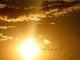 Meteo, un ‘ponte’ al sole: assaggio d'estate nel fine settimana