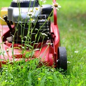 A Frossasco si cercano volontari dalla cura del verde all’aiuto fuori dalle scuole