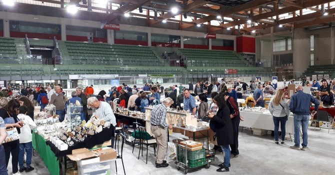 (Foto di repertorio)