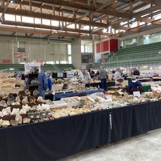 (Foto di repertorio)