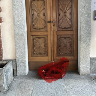 Il gatto ritrovato davanti alla porta del municipio