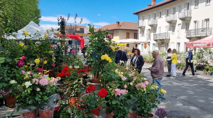 (Foto di repertorio)