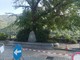 Villar Pellice: il destino dell’olmo di piazza Jervis è appeso a una crepa Villar Pellice: il destino dell’olmo di piazza Jervis è appeso a una crepa