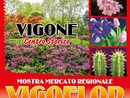 Vigone si prepara a rivestirsi di fiori