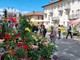 Giovani artisti, Fast Flowers Food, uncinetti e ricambi vintage: le novità di Vigoflor 2025