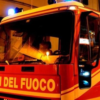 Cane si incastra con la testa in una recinzione di Bagnolo Piemonte, lo salvano i vigili del fuoco