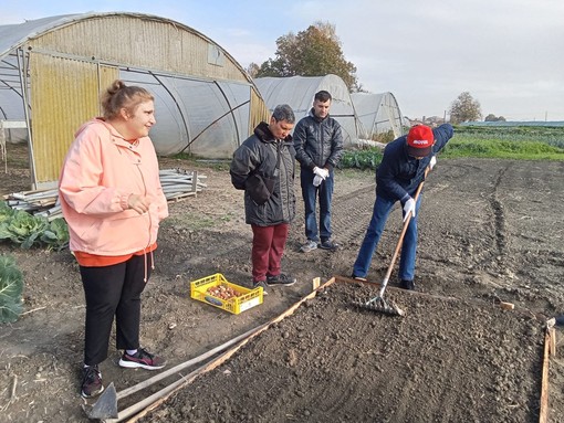 A Vigone quest’anno Tuliprensia ospita l’aiuola del Centro Diurno Pegaso