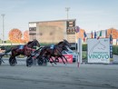 A Vinovo tutto pronto per un altro grande mercoledì di trotto