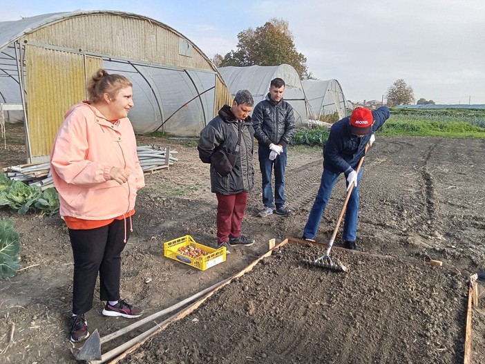 A Vigone quest’anno Tuliprensia ospita l’aiuola del Centro Diurno Pegaso A Vigone quest’anno Tuliprensia ospita l’aiuola del Centro Diurno Pegaso