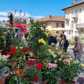 (Foto di repertorio)