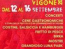 Vigone celebra San Nicola: cinque giorni di spettacoli, musica e sapori Vigone celebra San Nicola: cinque giorni di spettacoli, musica e sapori