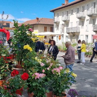 Giovani artisti, Fast Flowers Food, uncinetti e ricambi vintage: le novità di Vigoflor 2025