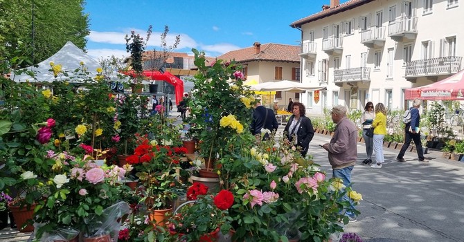 (Foto di repertorio)