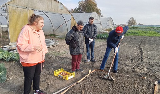 A Vigone quest’anno Tuliprensia ospita l’aiuola del Centro Diurno Pegaso A Vigone quest’anno Tuliprensia ospita l’aiuola del Centro Diurno Pegaso