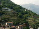 Dalle antiche vie della Val San Martino alla passeggiata nelle vigne di Ramìe Dalle antiche vie della Val San Martino alla passeggiata nelle vigne di Ramìe