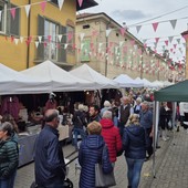 Dalla matita di Giugiaro alla sella: Vigone si prepara a tre giorni di festa con Mais e Cavalli