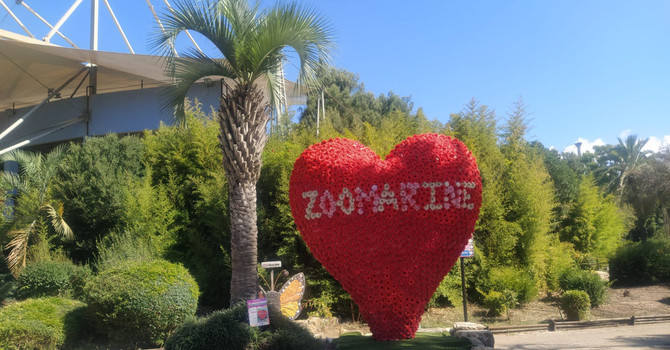 Cumiana: anche il romano Zoomarine entra nella famiglia di Zoom