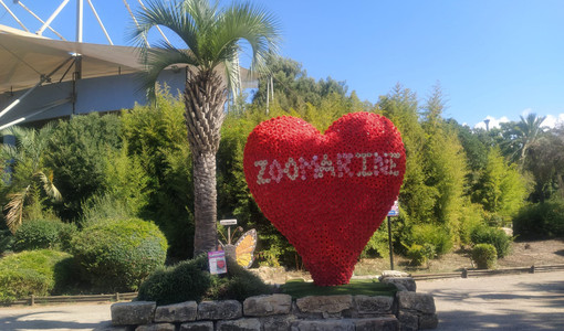 Cumiana: anche il romano Zoomarine entra nella famiglia di Zoom