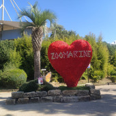 Cumiana: anche il romano Zoomarine entra nella famiglia di Zoom Cumiana: anche il romano Zoomarine entra nella famiglia di Zoom