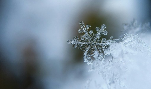 Foto di Aaron Burden - tramite Unsplash