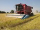 Piano per la qualità dell'aria: &quot;In assenza di modifiche  a rischio il settore agricolo&quot;
