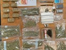 La droga sequestrata dai carabinieri La droga sequestrata dai carabinieri