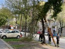 Nuova bomba d'acqua a Torino: grandine, frane, alberi caduti e traffico in tilt. Scoperchiato il tetto della scuola Salvemini