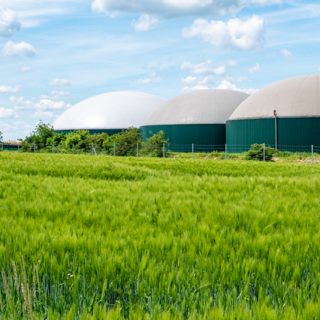 Biogas: si apre una nuova filiera tecnologica per il ritiro dell'energia dai produttori
