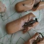 Wurstel imbottiti con chiodi: scatta l'allarme per i cani di Nichelino Wurstel imbottiti con chiodi: scatta l'allarme per i cani di Nichelino