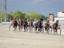 Domenica anche l'ippodromo di Vinovo ricorda il Grande Torino