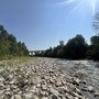 Il fiume Stura, ( foto scattate a fine giugno a Cuneo, zona delle Basse Sant'Anna) Il fiume Stura, ( foto scattate a fine giugno a Cuneo, zona delle Basse Sant'Anna)