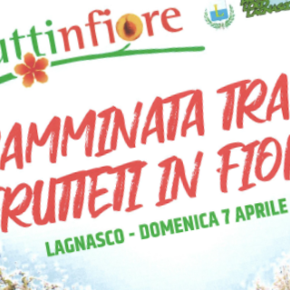 Fiori e frutti protagonisti a Lagnasco dal 5 al 7 aprile con la XXI edizione di Fruttinfiore