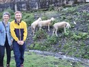 Raffaella e Tommaso e le loro pecore