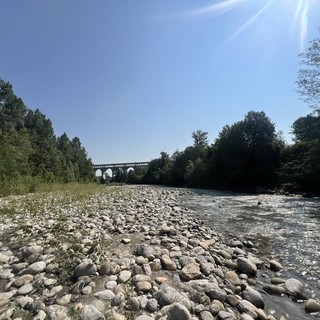 Il fiume Stura, ( foto scattate a fine giugno a Cuneo, zona delle Basse Sant'Anna)