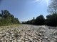 Il fiume Stura, ( foto scattate a fine giugno a Cuneo, zona delle Basse Sant'Anna)
