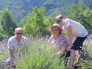 Marco Sollier e la sua famiglia nel campo di lavanda