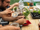 Festival del Verde, al via la seconda edizione: oltre 150 appuntamenti diffusi tra giardini, orti urbani e parchi pubblici