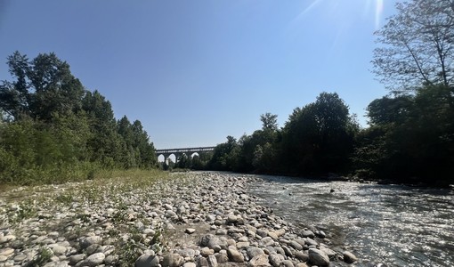 Il fiume Stura, ( foto scattate a fine giugno a Cuneo, zona delle Basse Sant'Anna) Il fiume Stura, ( foto scattate a fine giugno a Cuneo, zona delle Basse Sant'Anna)