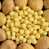 A ViviPomaretto Aprile è il momento di gustare gli gnocchi inclusivi