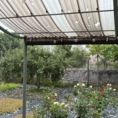 Il maltempo ha fatto anche danni poco fuori Torino Il maltempo ha fatto anche danni poco fuori Torino