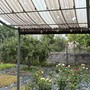 Il maltempo ha fatto anche danni poco fuori Torino