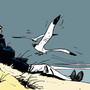 Senigallia omaggia Hugo Pratt: il Molo di Levante ospita un’installazione dedicata a Corto Maltese
