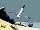 Senigallia omaggia Hugo Pratt: il Molo di Levante ospita un’installazione dedicata a Corto Maltese