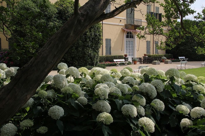 Il Torrione by R Castrini